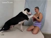 Busty bald lady on a dog sex